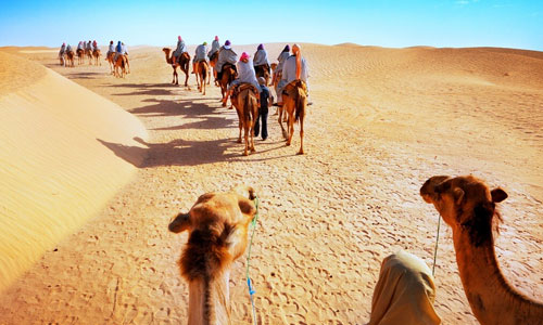 Best Rajasthan Tour Packages From Delhi | Trip To Rajasthan