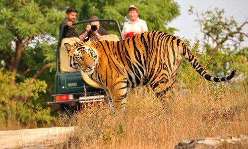Uttarakhand Tour Packages From Delhi | Trip Packages From Haridwar