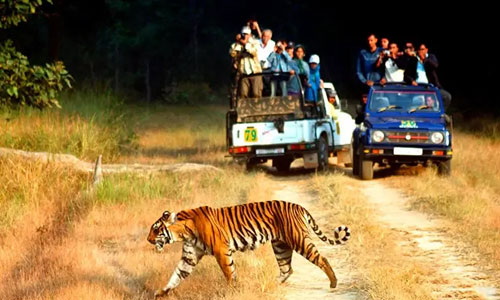 Uttarakhand Tour Packages From Delhi | Trip Packages From Haridwar